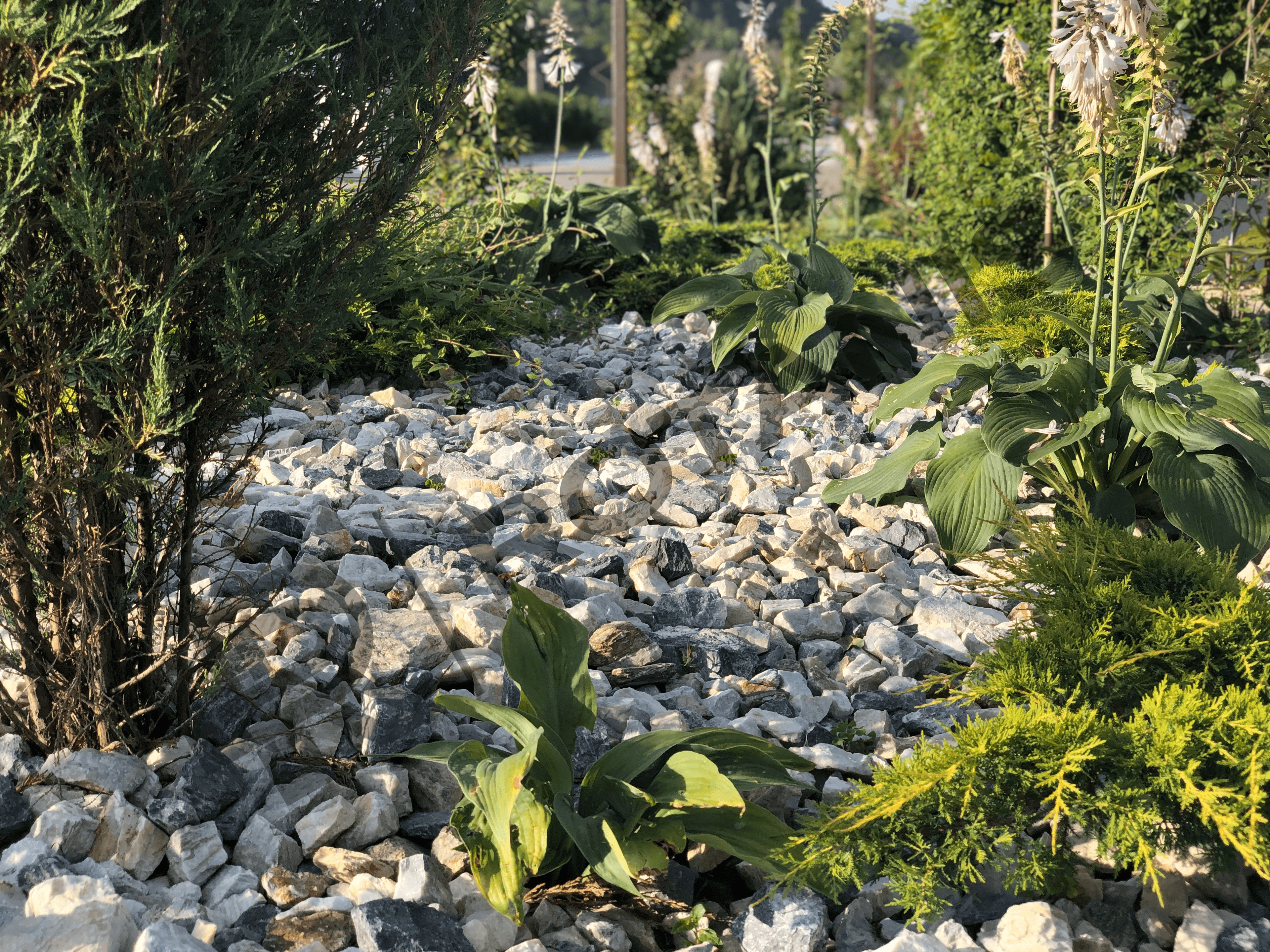 Campulung Moldovenesc - 3