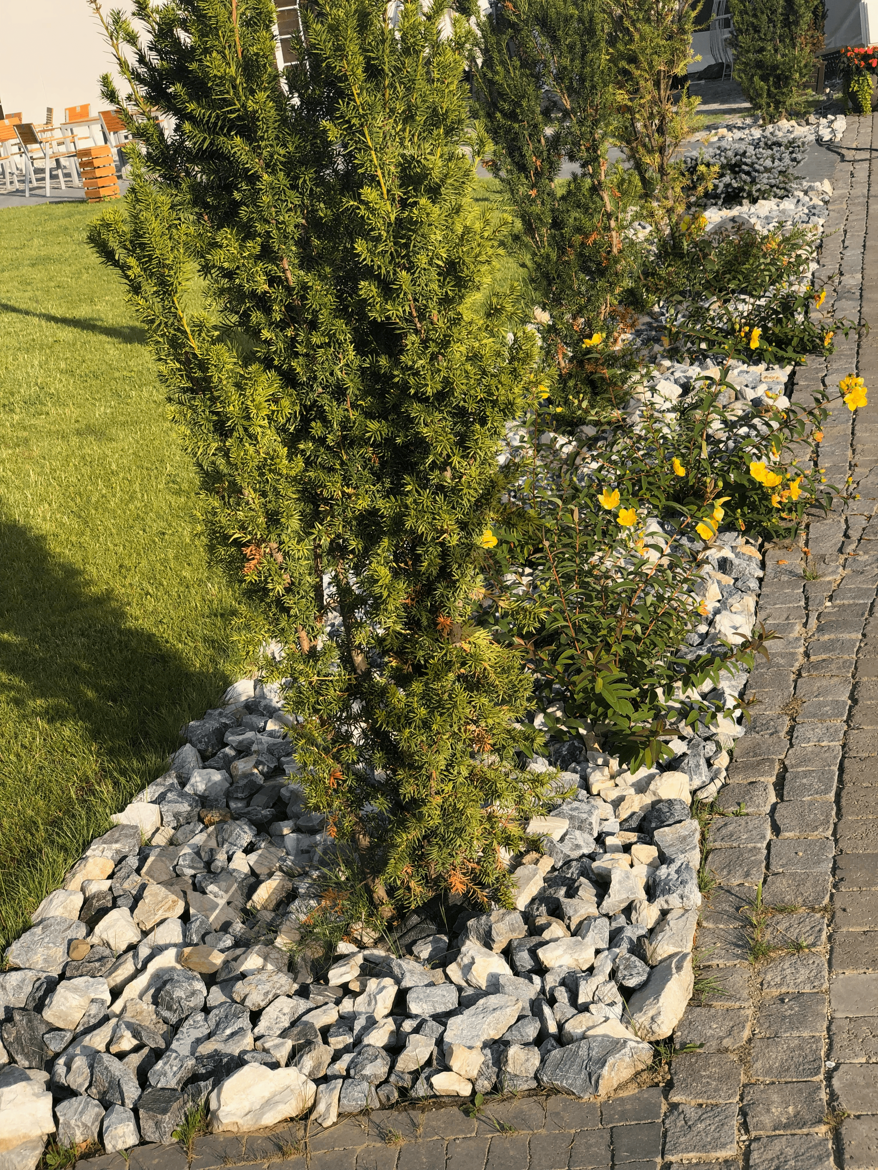 Campulung Moldovenesc - 4