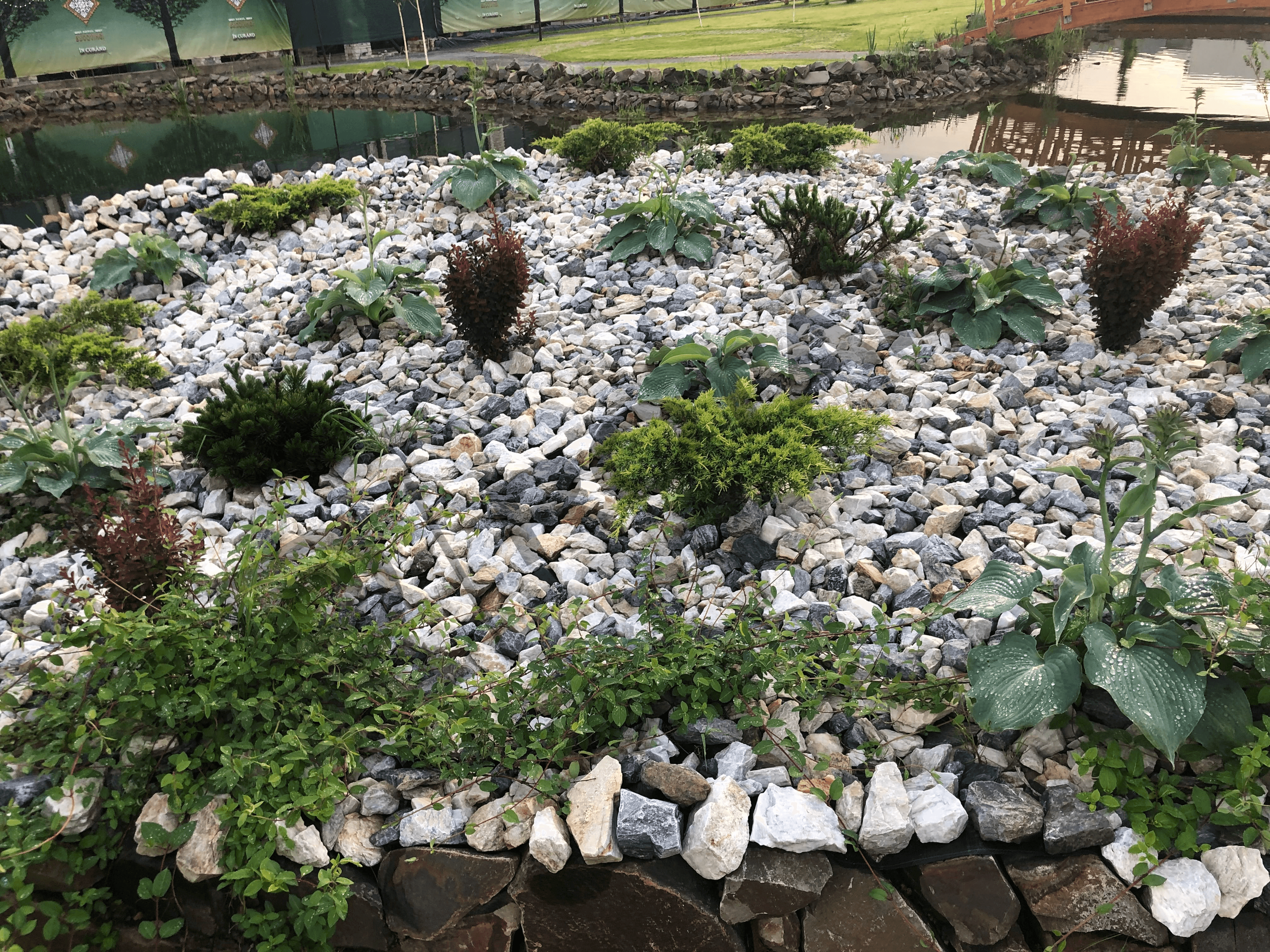 Campulung Moldovenesc - 5