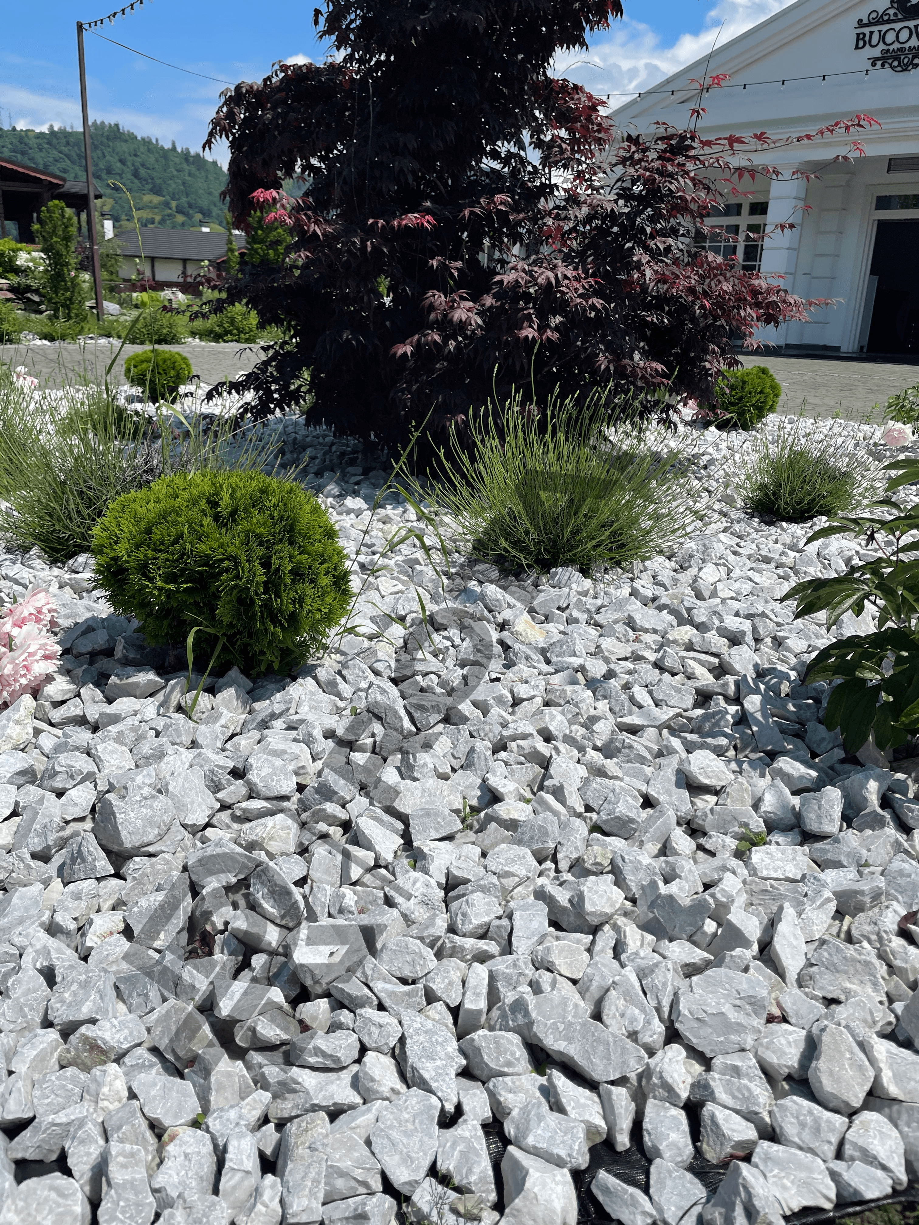 Campulung Moldovenesc - 7