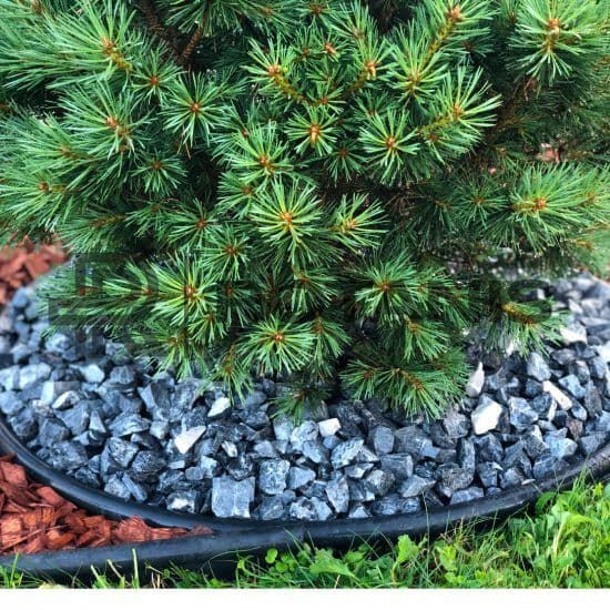 Piatră pentru amenajări albastru cenușiu 1-2 cm