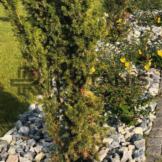 Piatra pentru amenajari multicolor 2 - 7 cm